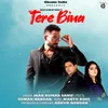 About Tere Bina Song